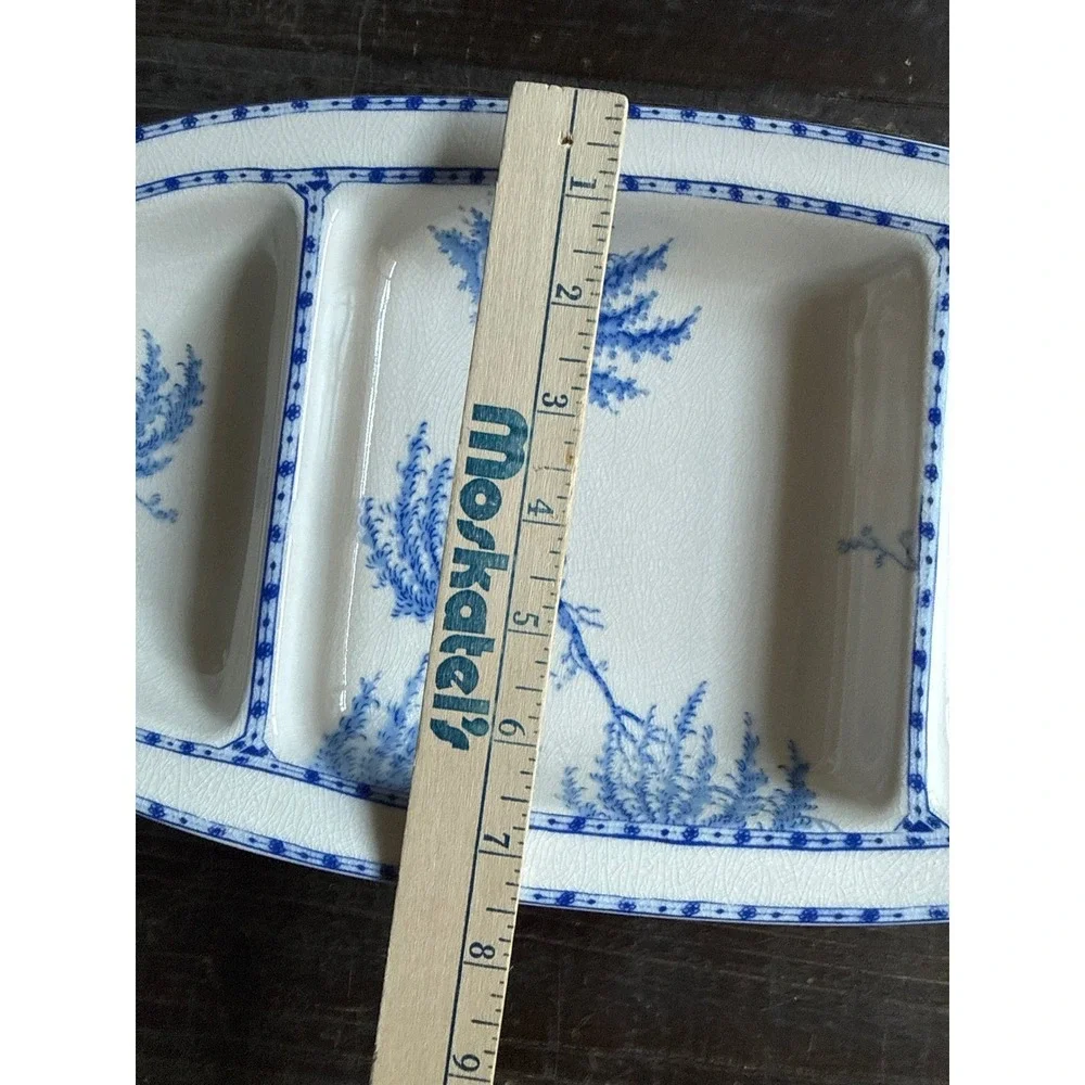 Pottery Barn Sophia Chinoiserie Blue White Divided Serving Platter 15 Inch Tray‎